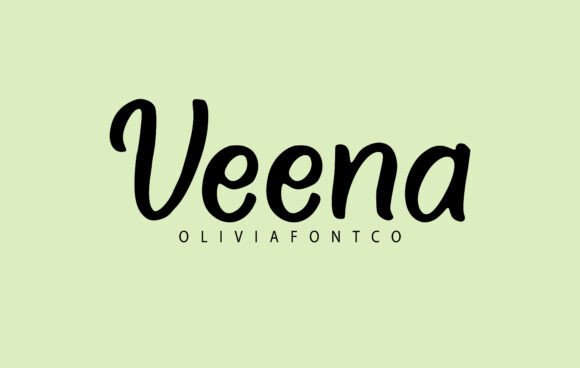 Veena Font: A Designer’s Review for Social Campaigns